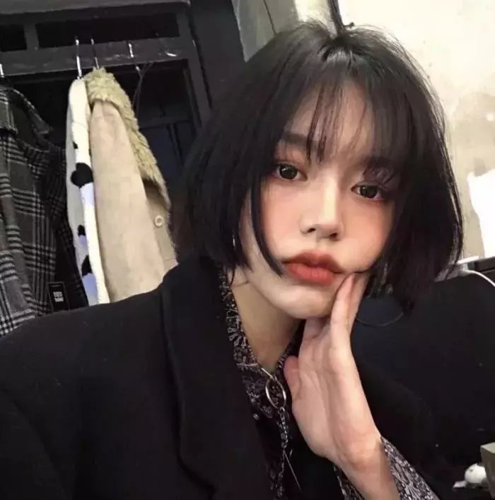 幸运狗狗来造访